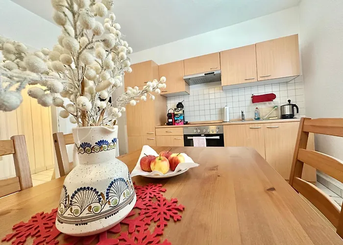 Vajagic Mit Gartenlounge! Messe, Klinikum, Krupp Krankenhaus Apartmán